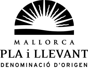 logo-pla-i-llevant