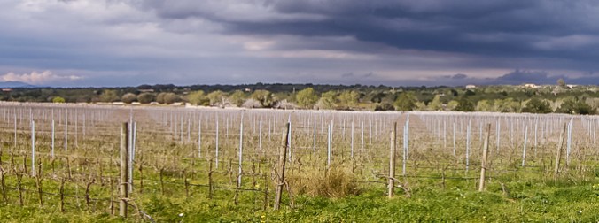 son-alegre-dormition-3