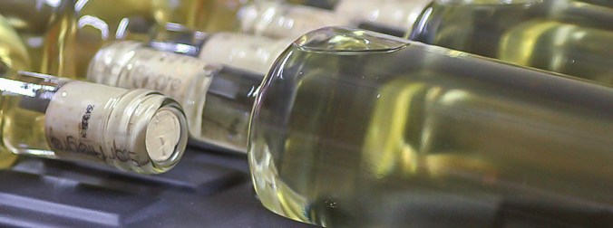 Son Alegre white wine 2