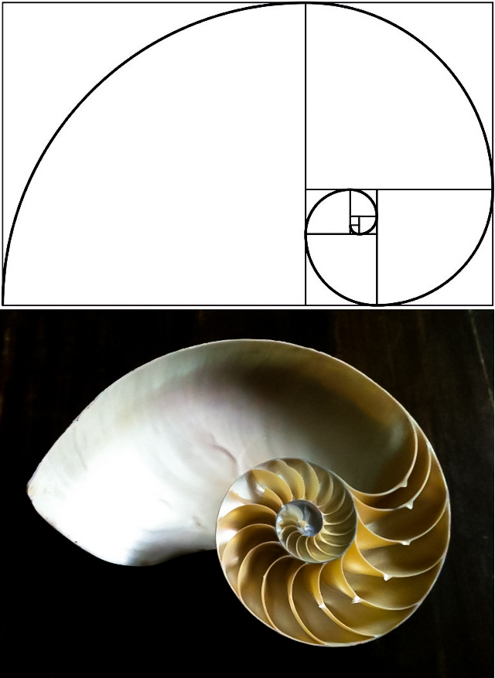 Fibonacci 13