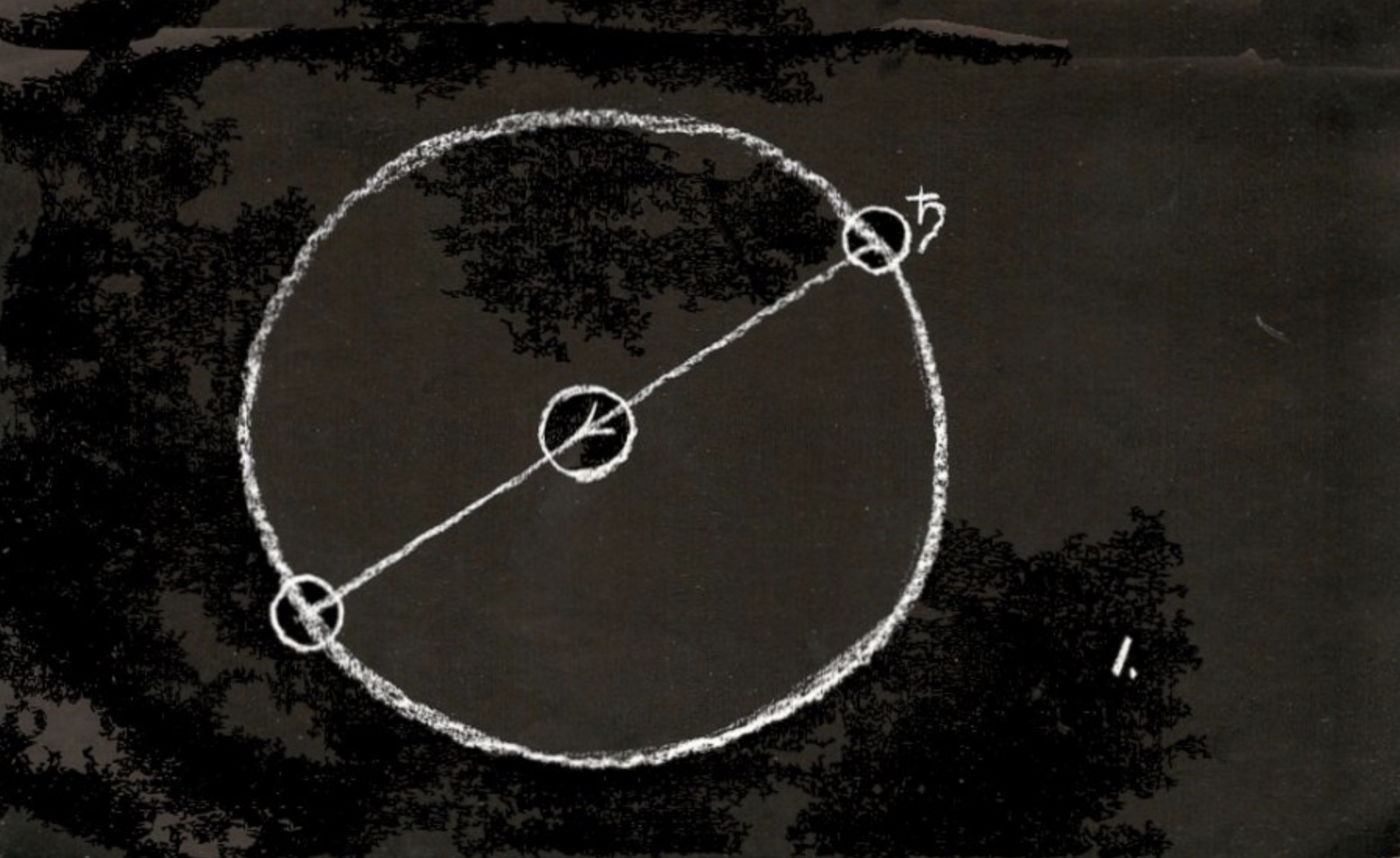 R Steiner_agriculture_01