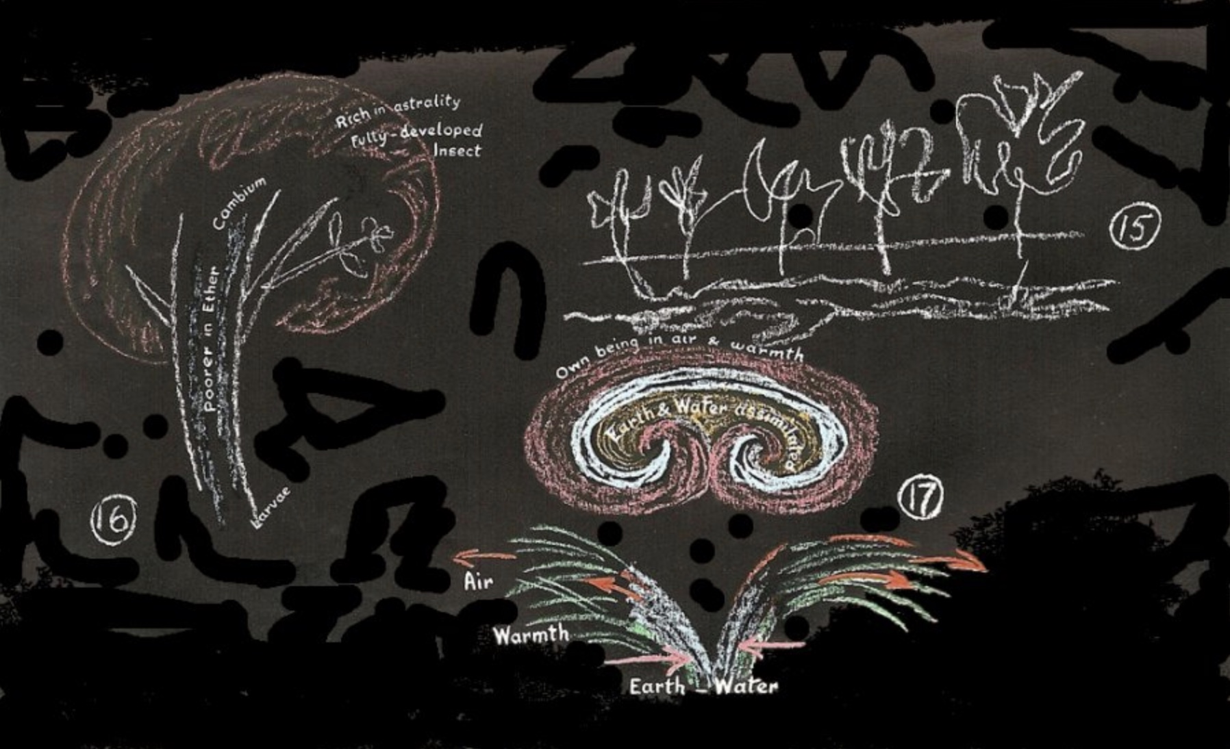 R Steiner_TheAgriculturalCourse_03